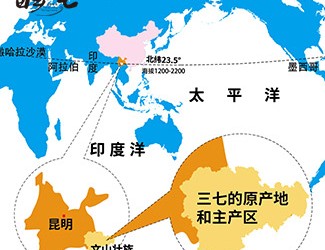 三七产地哪里的最好，广西田七与云南三七有何区别
